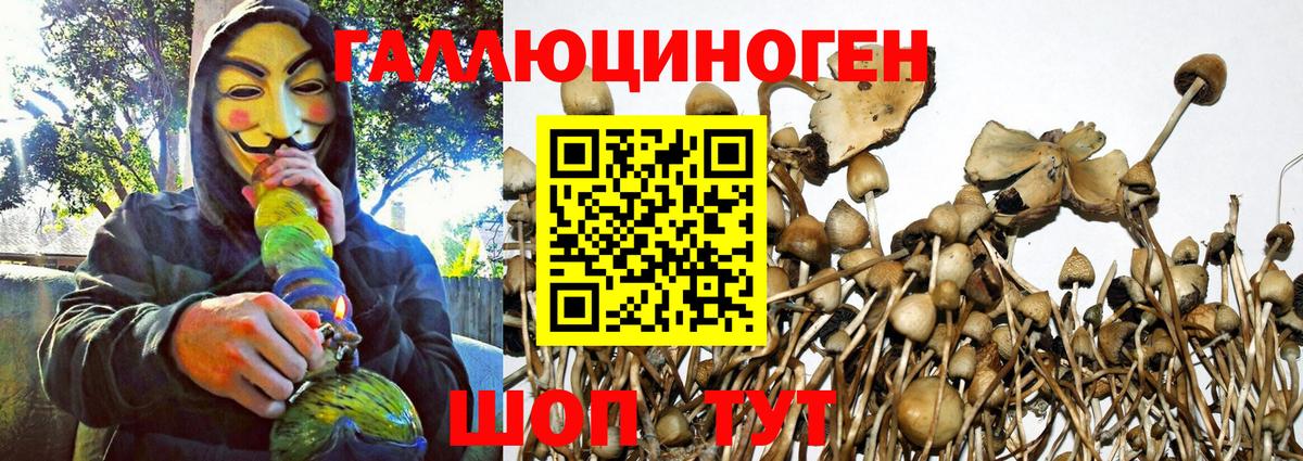 Галлюциногенные грибы GOLDEN TEACHER Кунгур